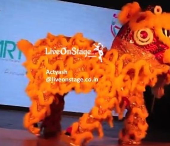 Lion Dance, Interactive Act, Circus Act, Live on Stage, Stage Act, Chinese Lion Dance, Stage Show, Live On Stage, Live On Stage Weddings,