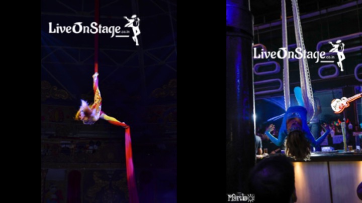Aerial Act, Aerial Silk act, Aerial hoop act, Aerial net act,  Aerial Chandelior act, Contortion act, Circus show, circus performer, stage show, stage performer